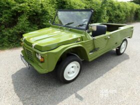 1977  Citroen Mehari