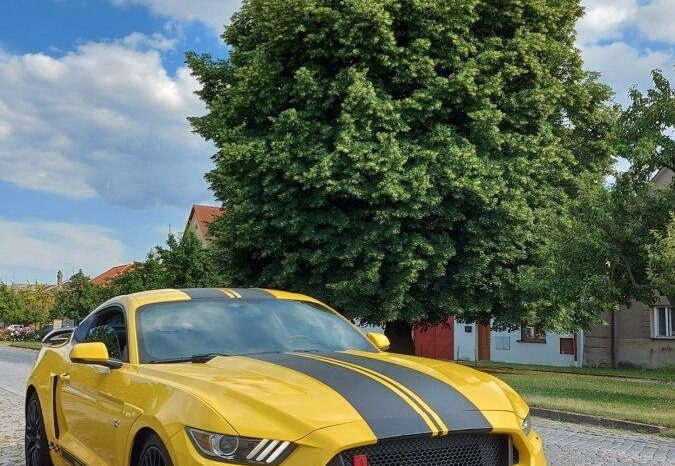 
								2016 Ford Mustang GT plné									