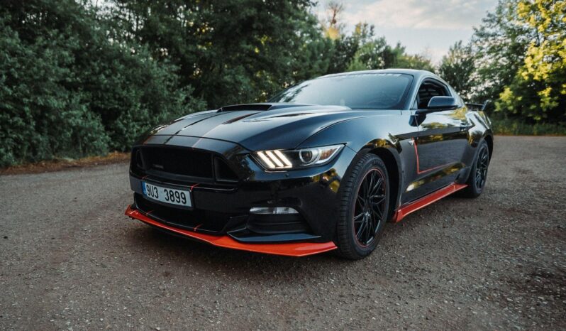 
								Jan Mrázek – Fotograf plné									