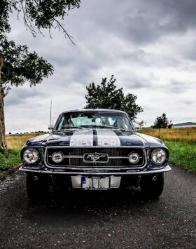 1967 Ford Mustang-Fastback GT 390