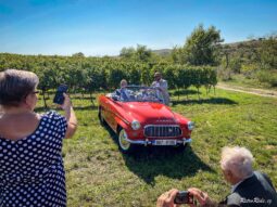 
										1960 Škoda Felicia plné									