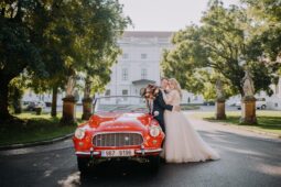 
										1960 Škoda Felicia plné									