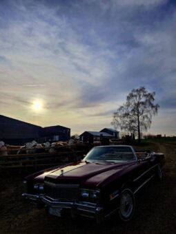 1976 Cadillac Eldorado