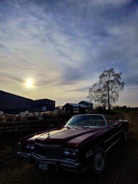 1976 Cadillac Eldorado
