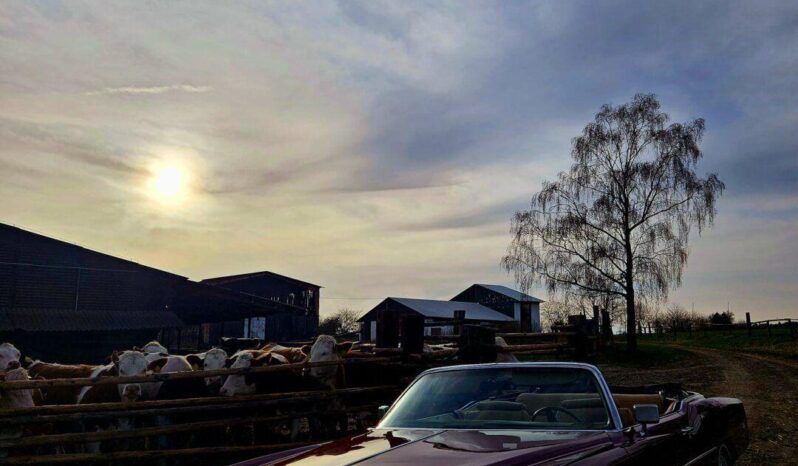 
								1976 Cadillac Eldorado plné									