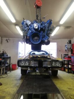 Muscle Cars Slovakia