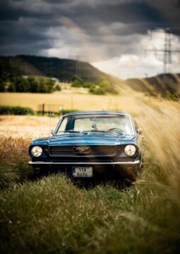 Profesionál Retroride: Veterány, Historická, Klasická I Sportovní Auta.