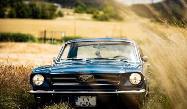 Profesionál Retroride: Veterány, Historická, Klasická I Sportovní Auta.