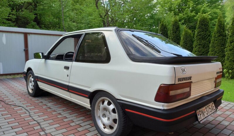 
								Peugeot 309 GTi 1.9L 88kW plné									