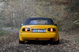 
										1995 Mazda MX5 plné									