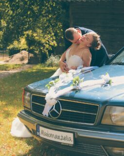 1983 Mercedes Benz C126 V8