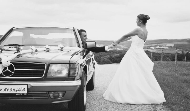 
								1983 Mercedes Benz C126 V8 plné									