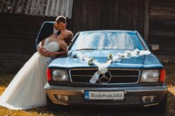 1983 Mercedes Benz C126 V8