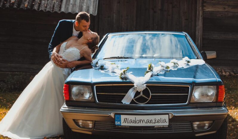 
								1983 Mercedes Benz C126 V8 plné									