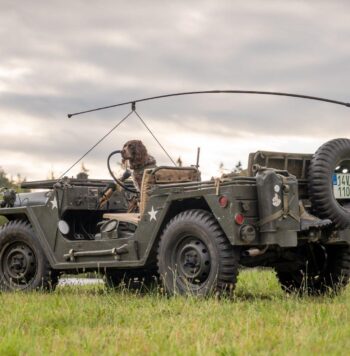 Radomír Pecha – Foto & Video – Svatby, Eventy, Promo