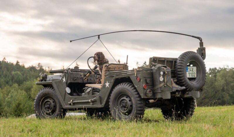 
								Radomír Pecha – Foto & Video – Svatby, Eventy, Promo plné									