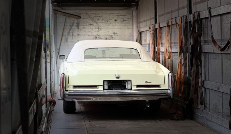 
								Dovoz veteránů z USA 🇺🇸 plné									