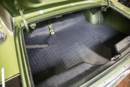 
										1969 Dodge Charger plné									