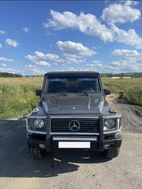 1992 Mercedes-Benz g300ge w463 4×4