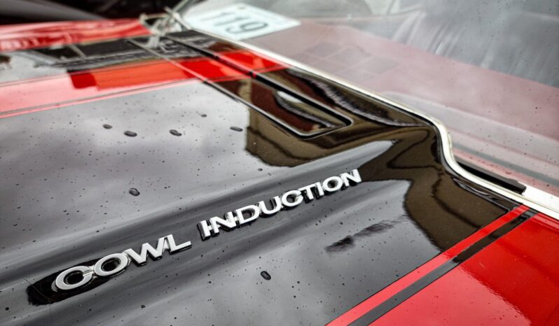 
								1970 Chevrolet Chevelle SS plné									