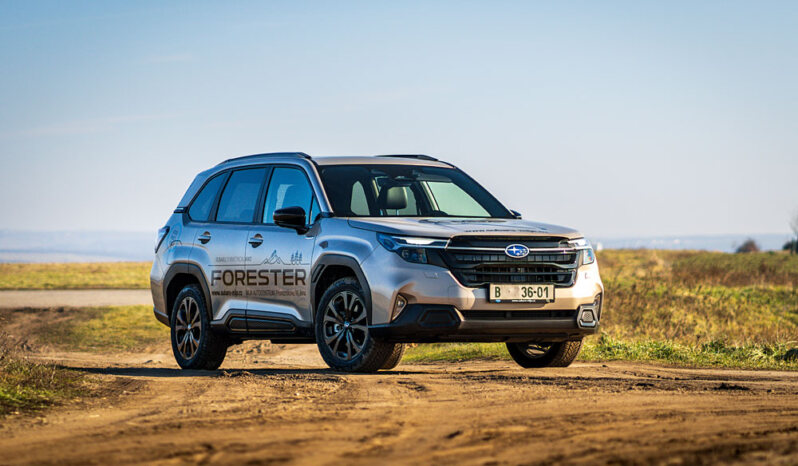 Focení Aut Brno A Okolí Retroride: Veterány, Historická, Klasická I Sportovní Auta.