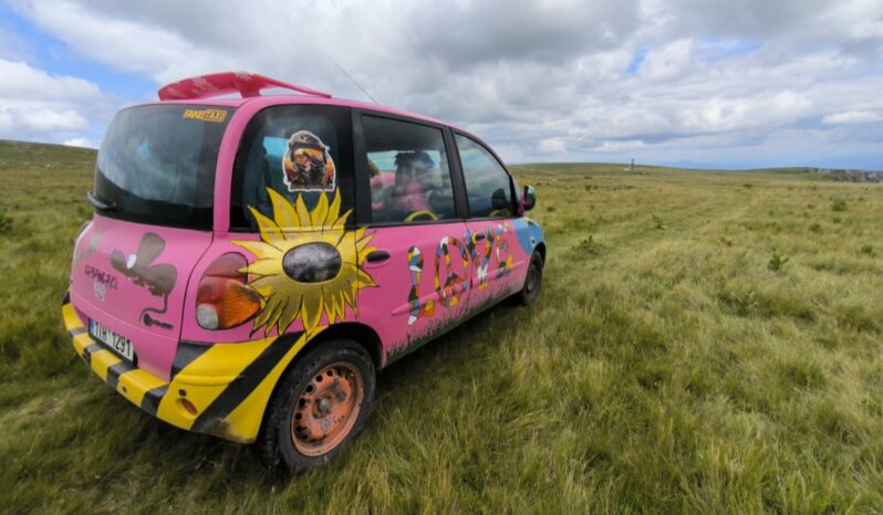 2002 Fiat Multipla Retroride: Veterány, Historická, Klasická I Sportovní Auta.