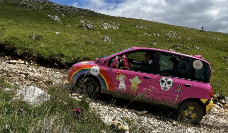 
								2002 Fiat Multipla plné									