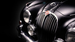 
										maxalera.photo – FineArt plné									