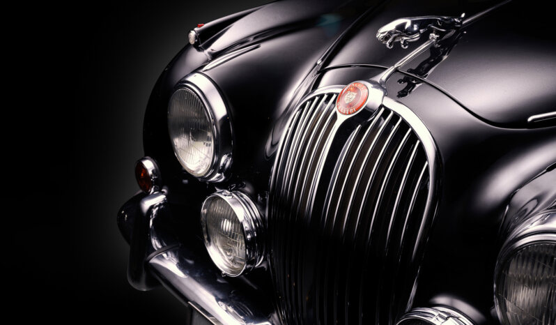 
								maxalera.photo – FineArt plné									