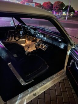 
										1965 Ford Mustang plné									