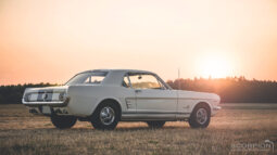 
										1966 Ford Mustang plné									
